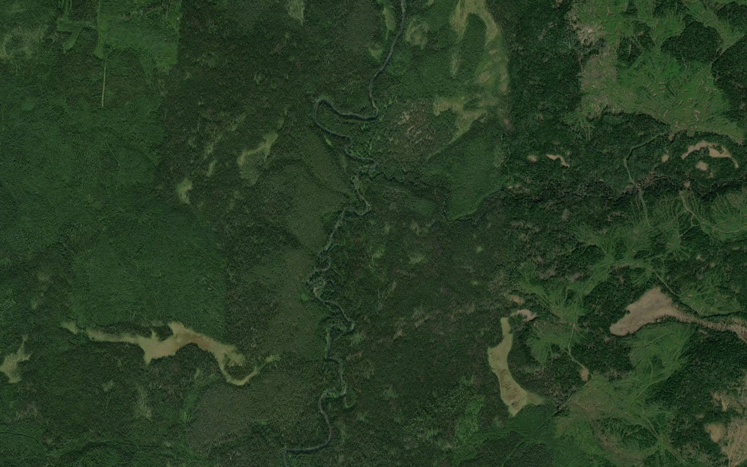 Shurovka