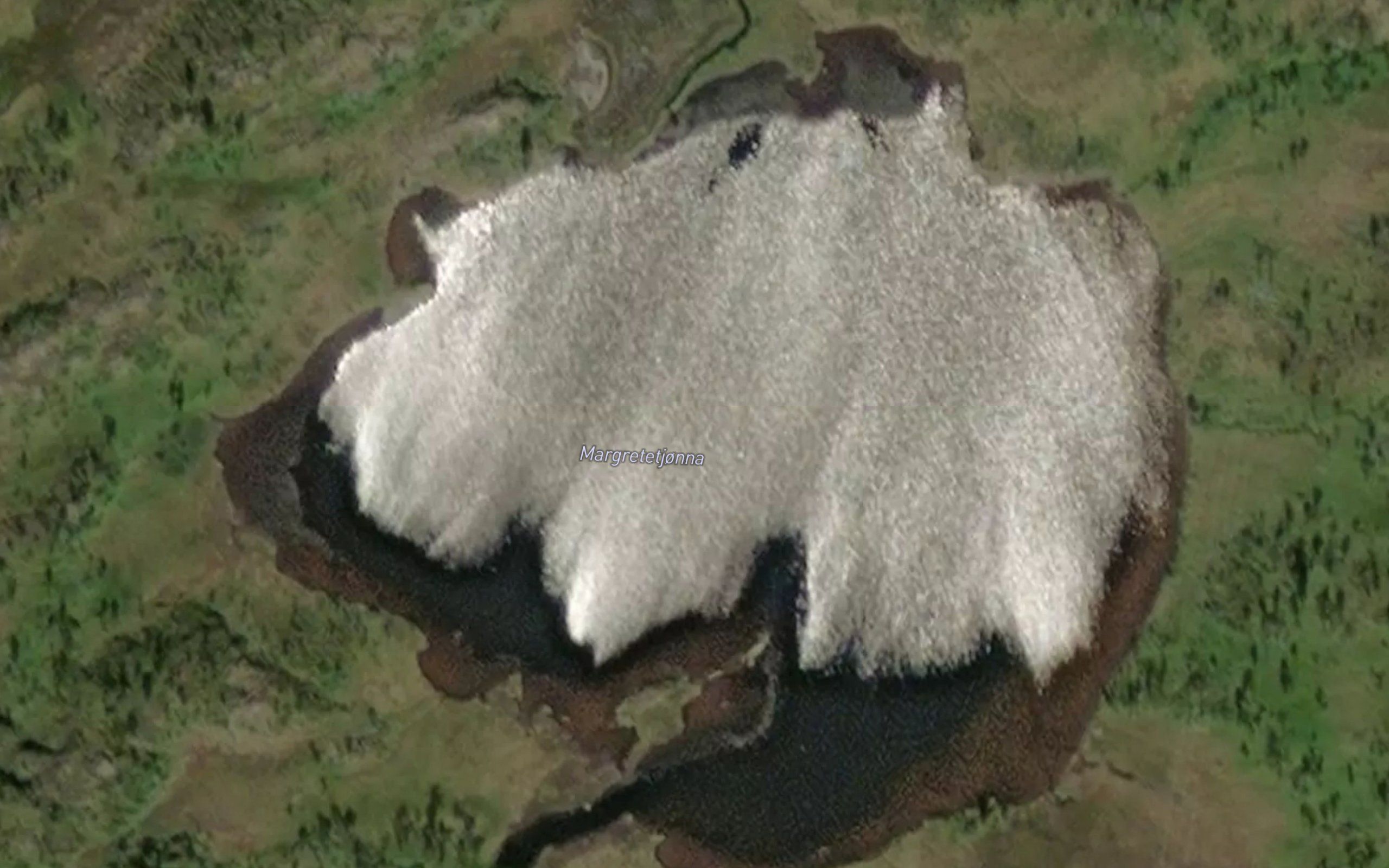 Margitetjorna