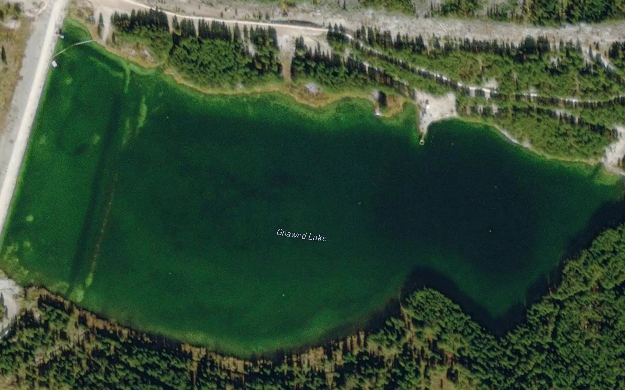 Gnawed Lake