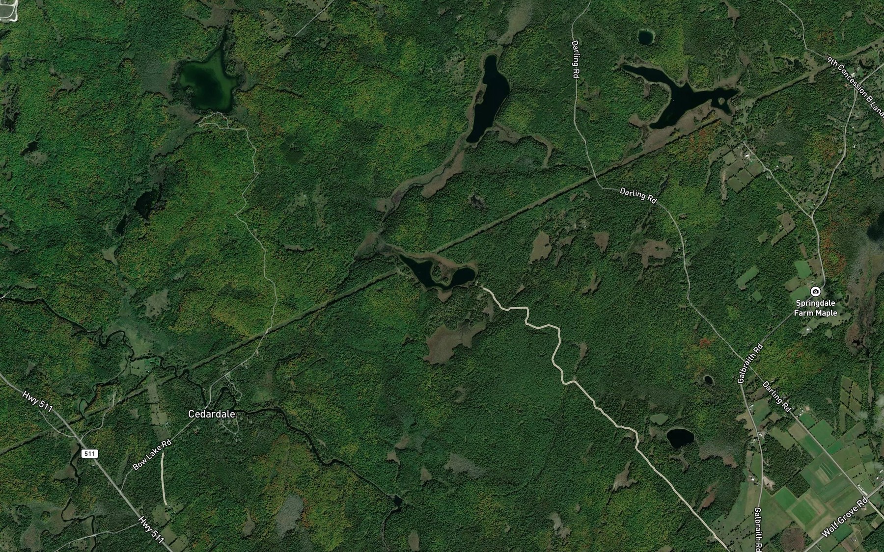 Satellite map of the Craig Lake