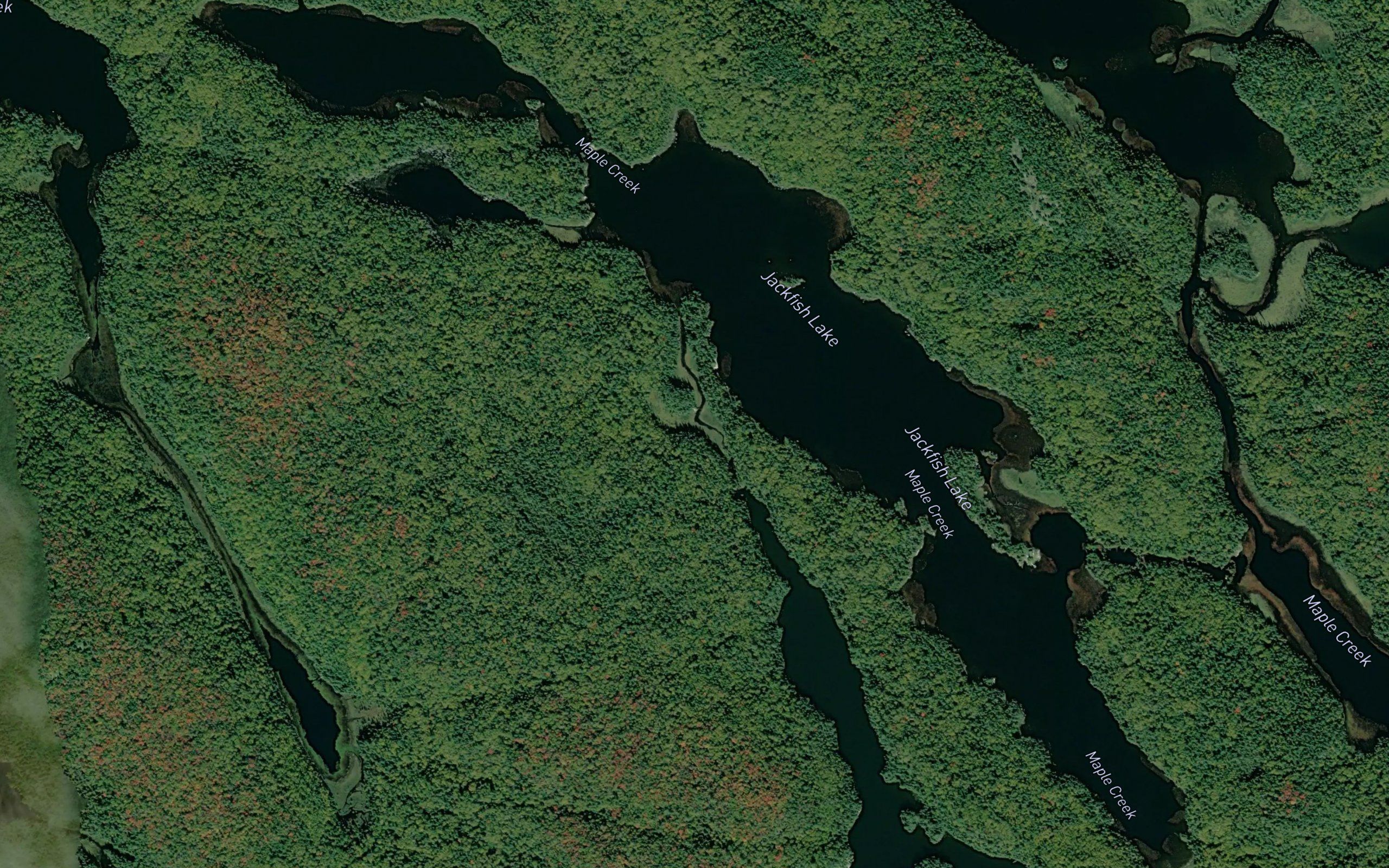 Jackfish Lake