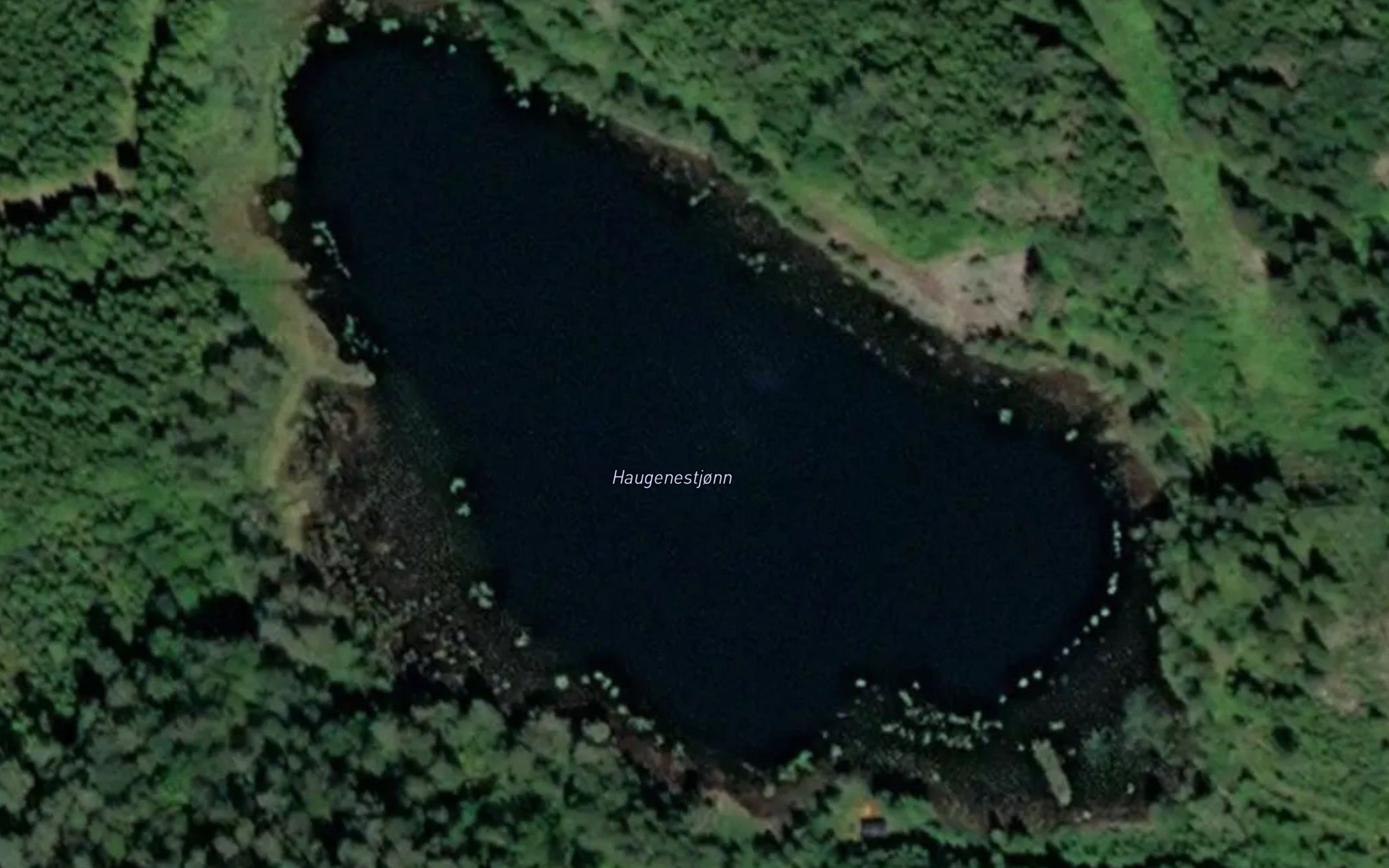 Haugenestjonn