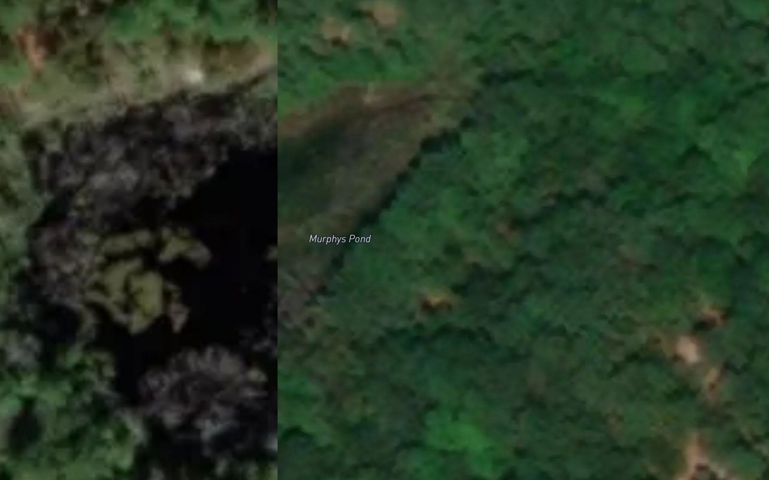 Murphys Pond