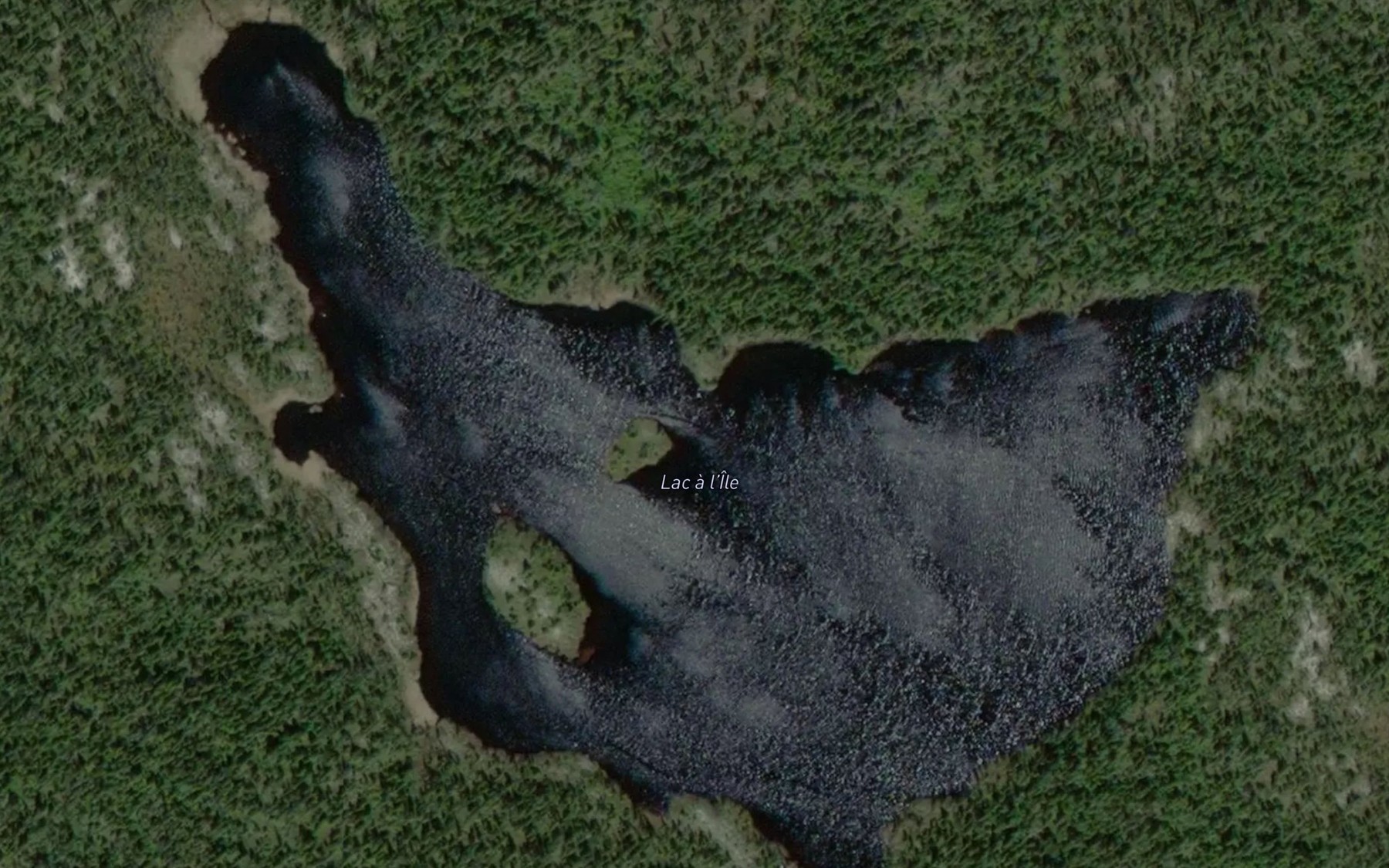 Satellite map of the Lac a l'Ile