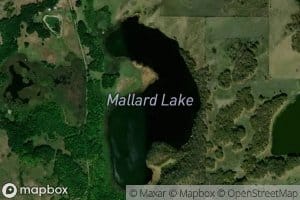 Mallard Lake