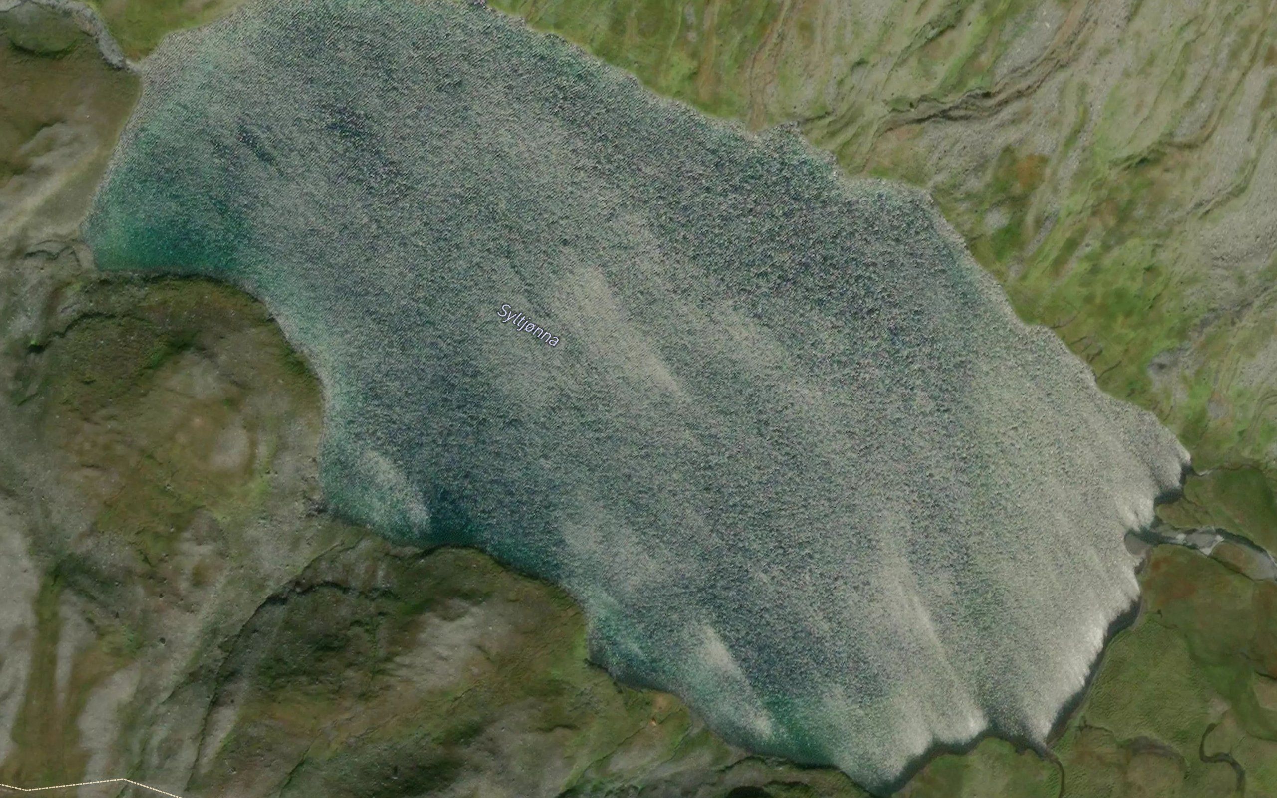 Syltjorna