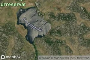 Fresatjorna