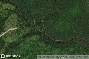 Campbell Branch Little Black River