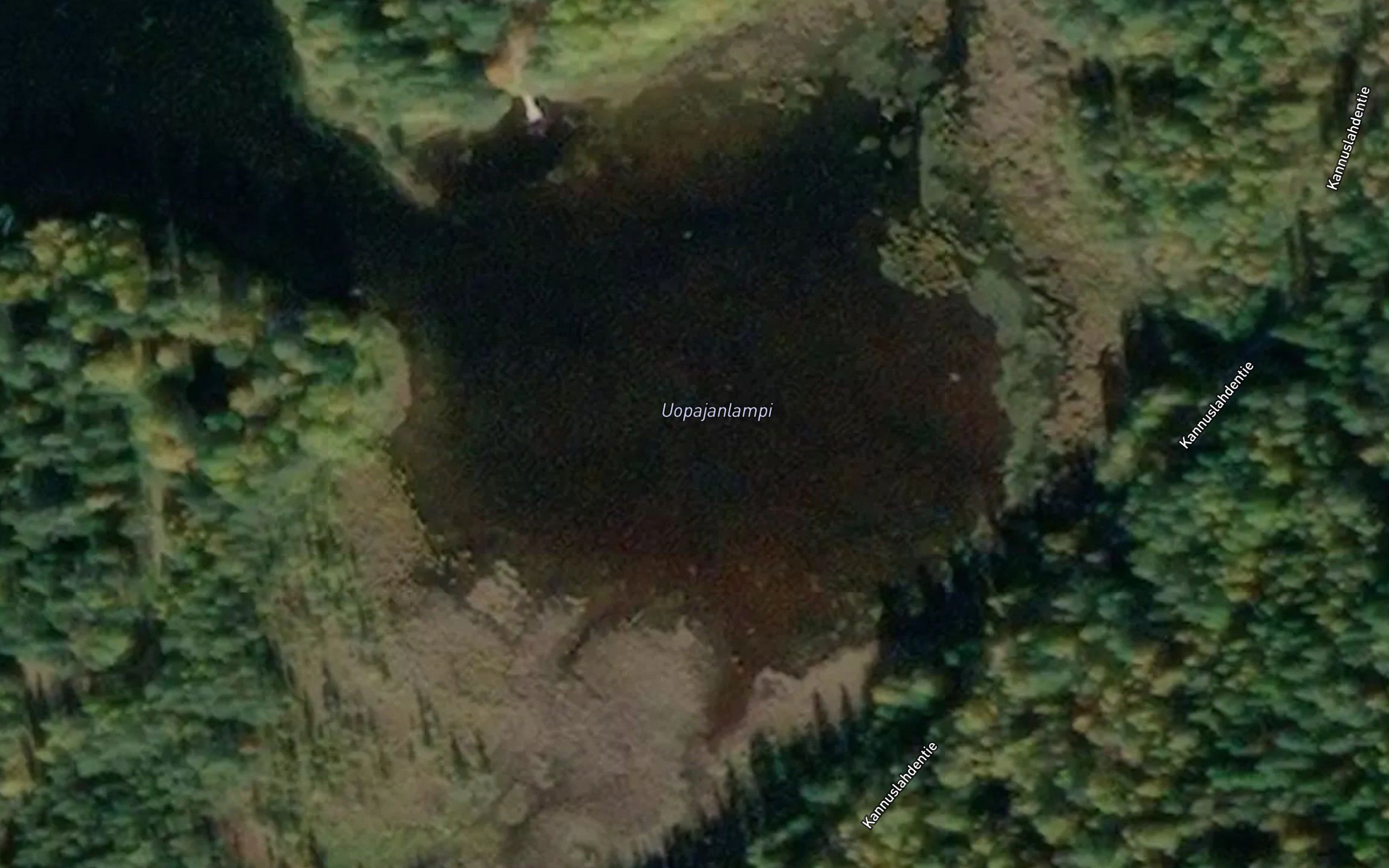 Uopajanlampi