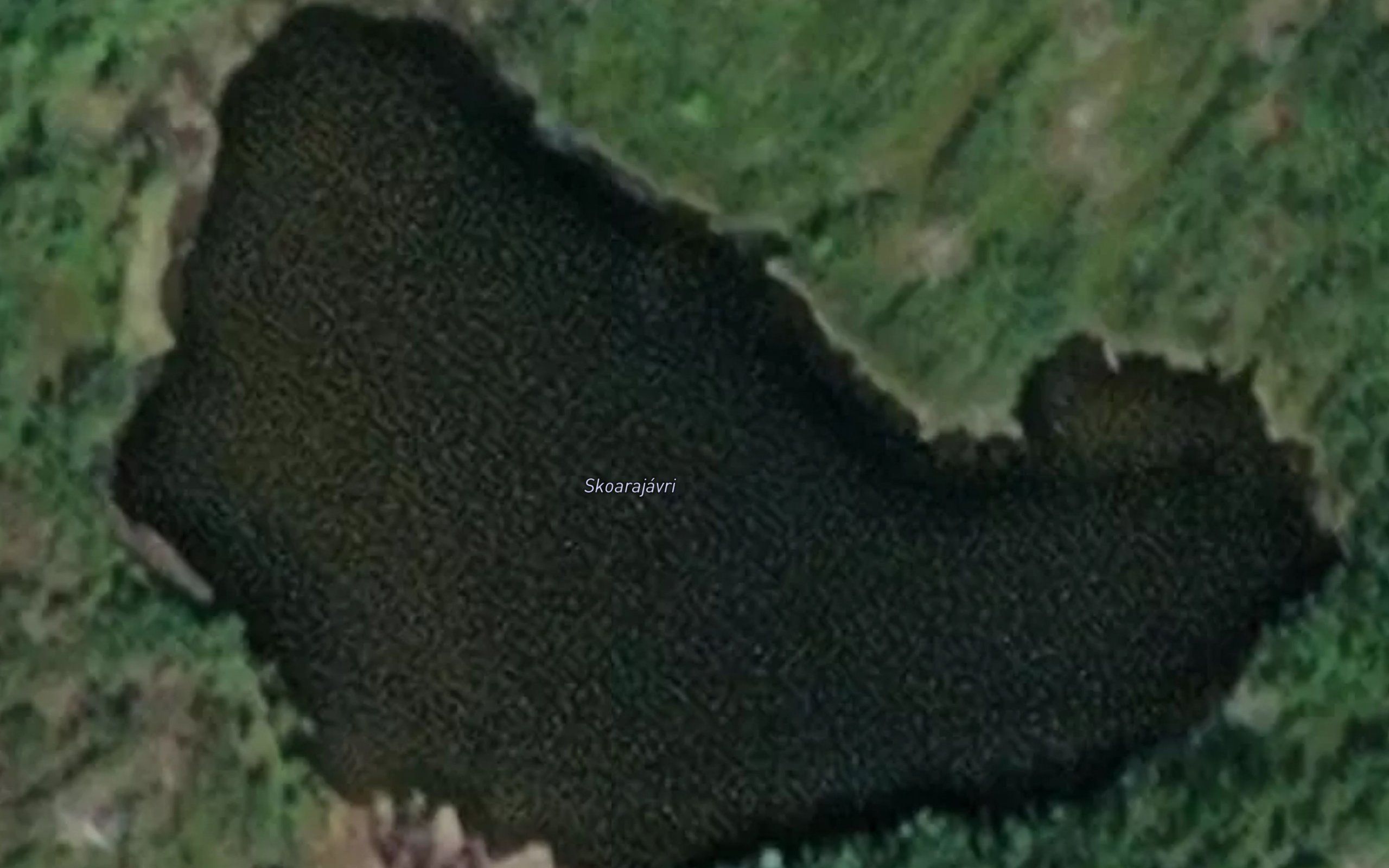 Skoarajavri