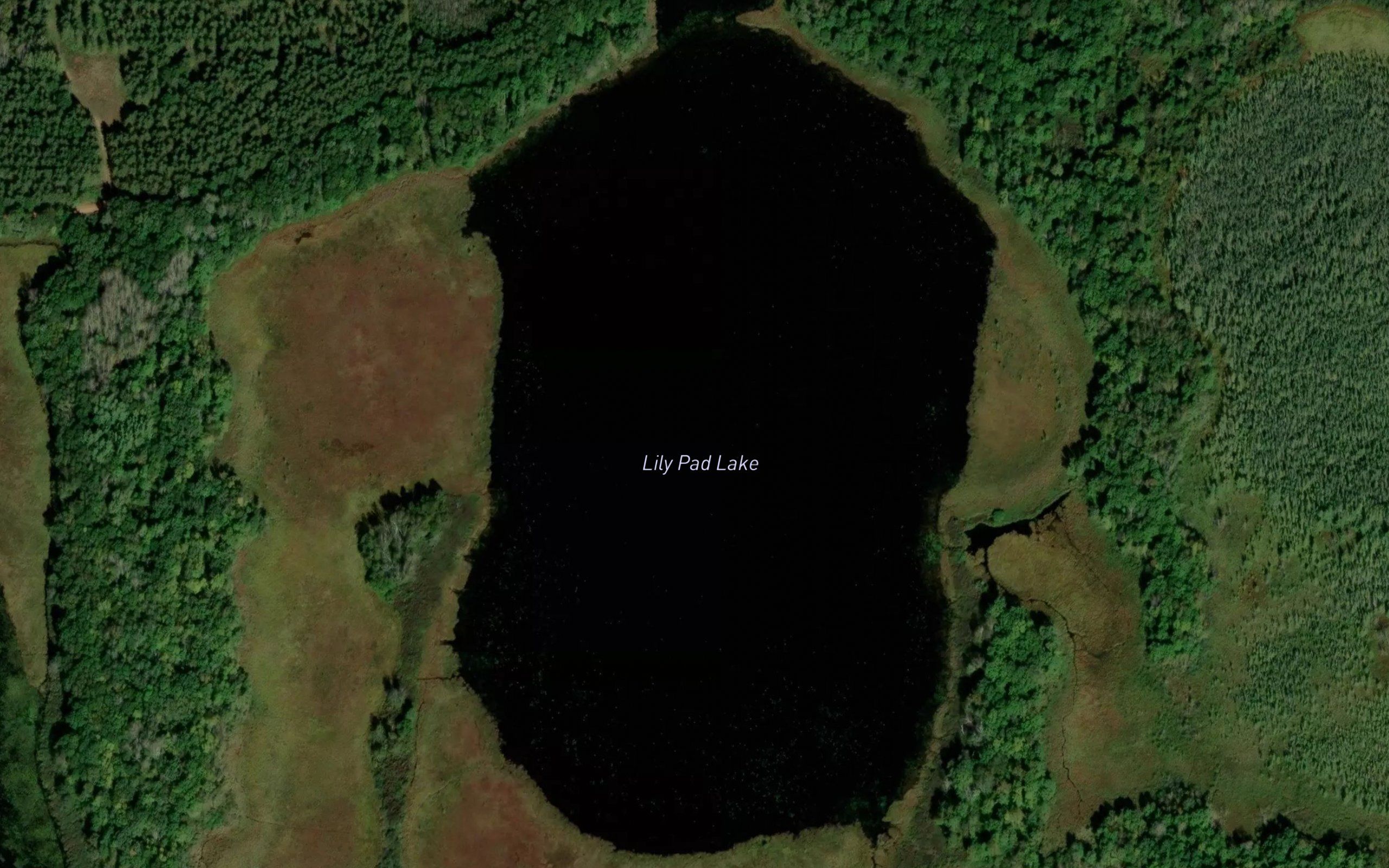 Lily Pad Lake