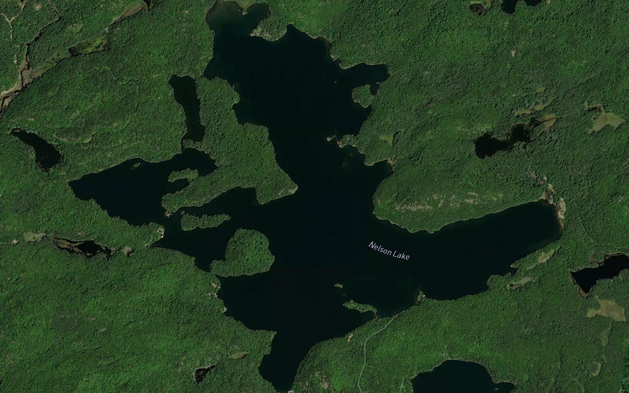Nelson Lake