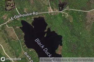 Black Duck Lake Brook