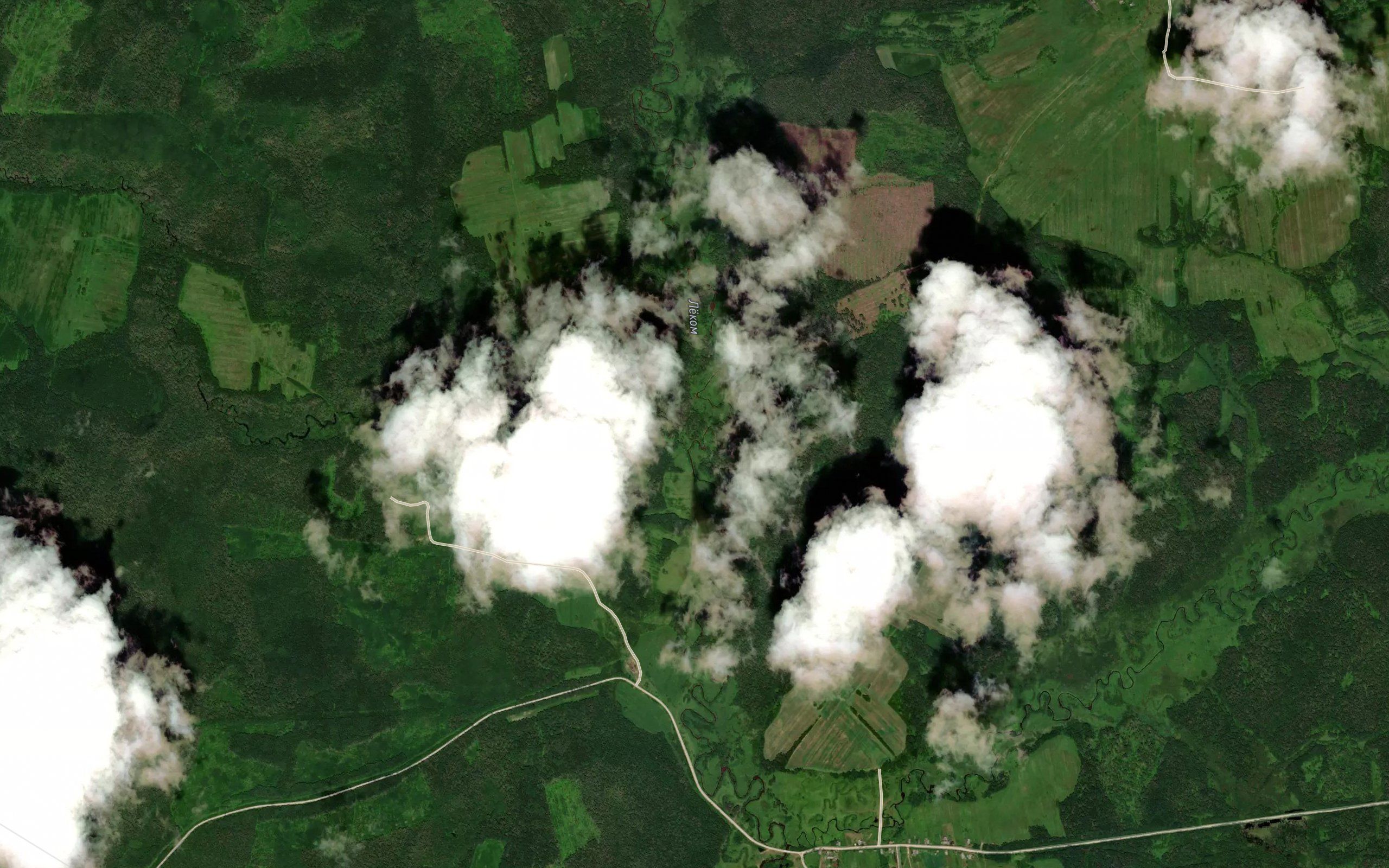Zaupolovka