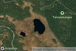 Talviaislammit