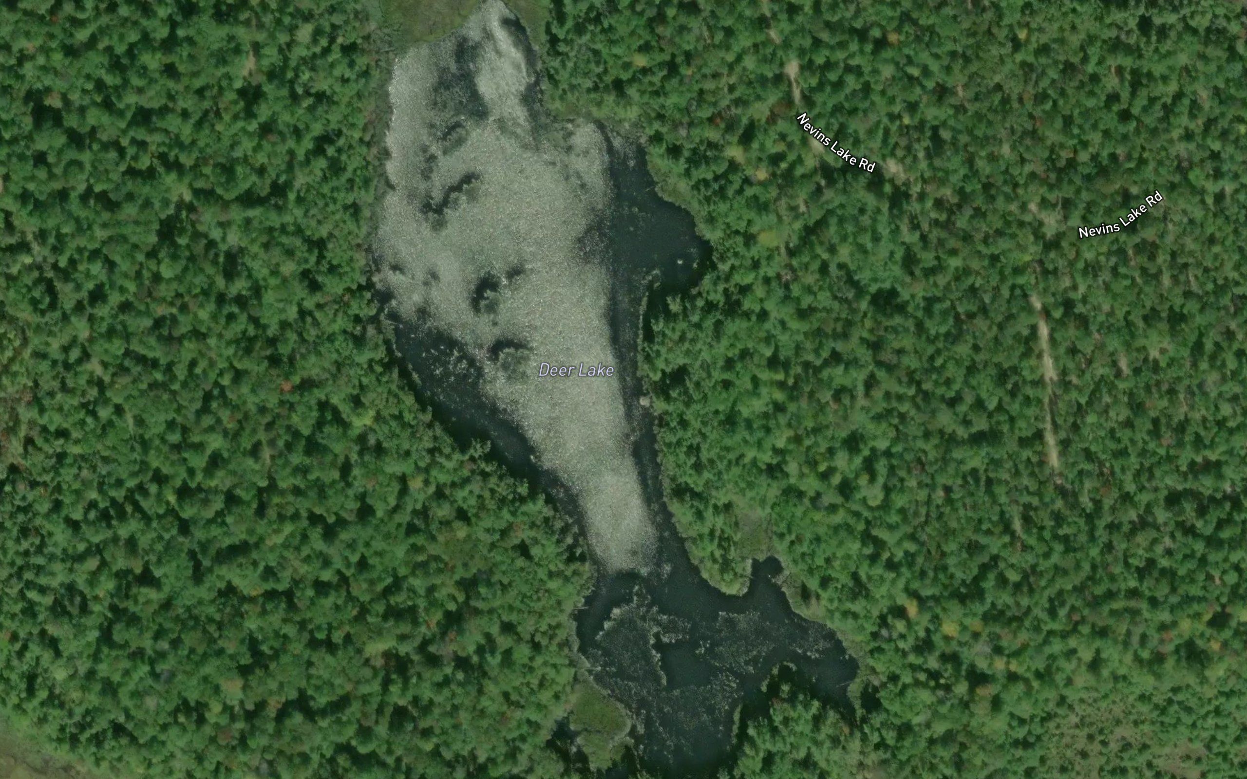 Deer Lake