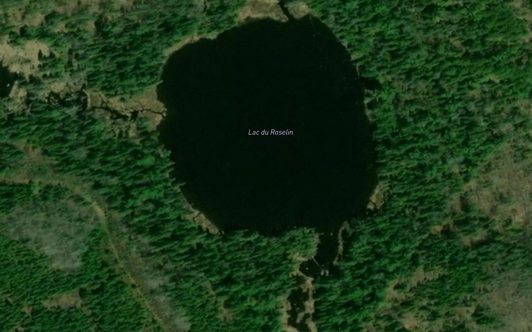 Satellite map of the Lac du Roselin