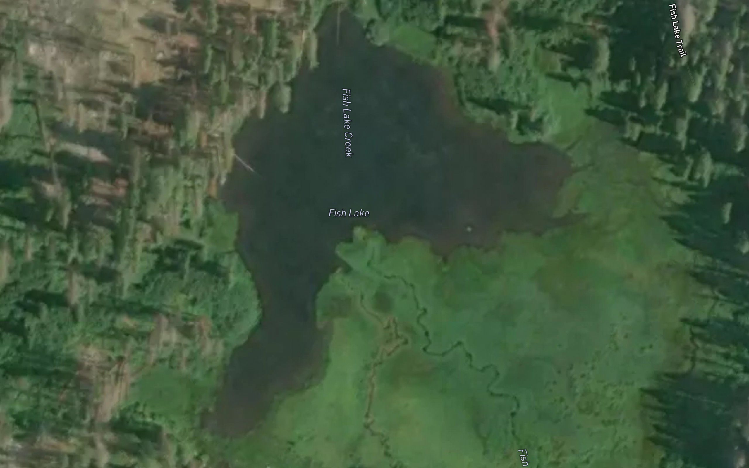 Fish Lake