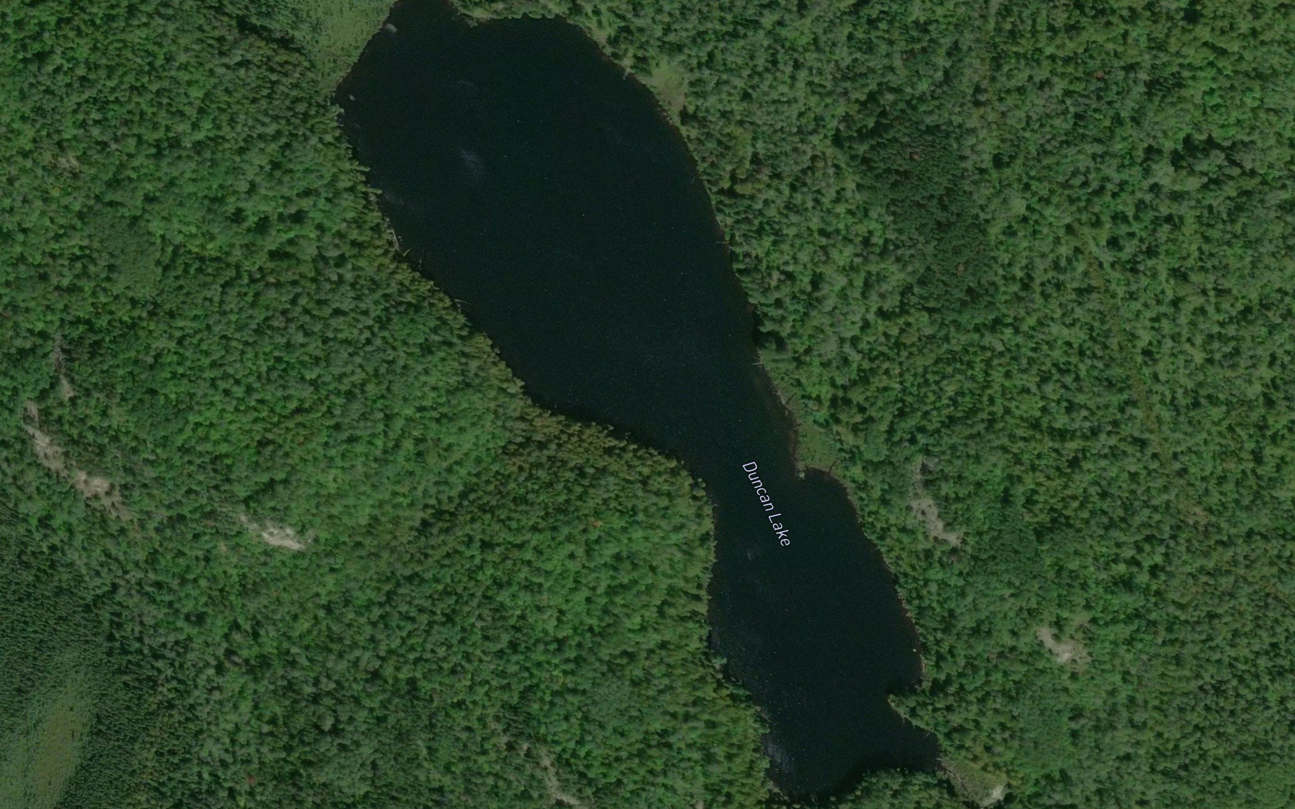 Duncan Lake