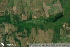Macaya