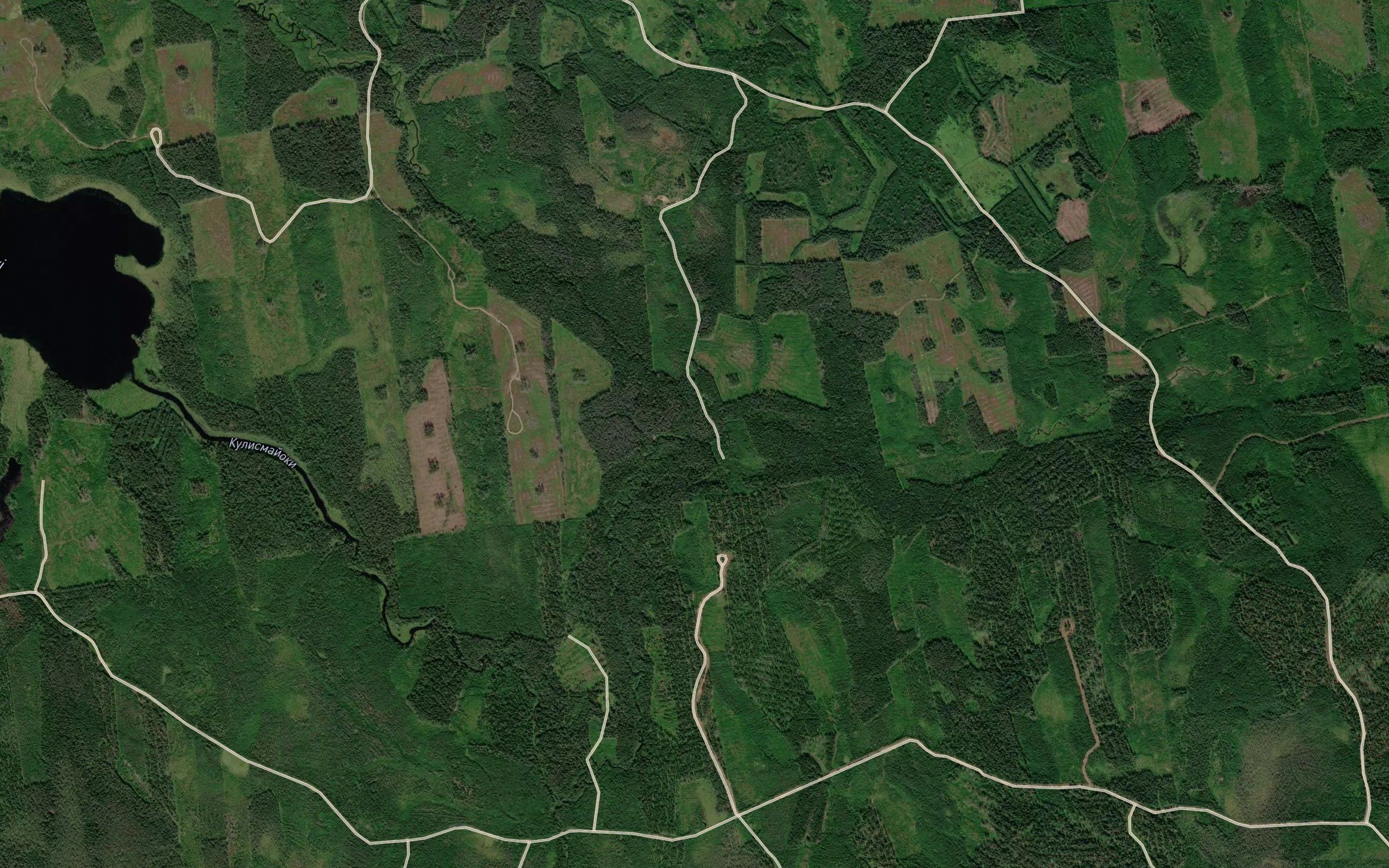 Pamastonoya