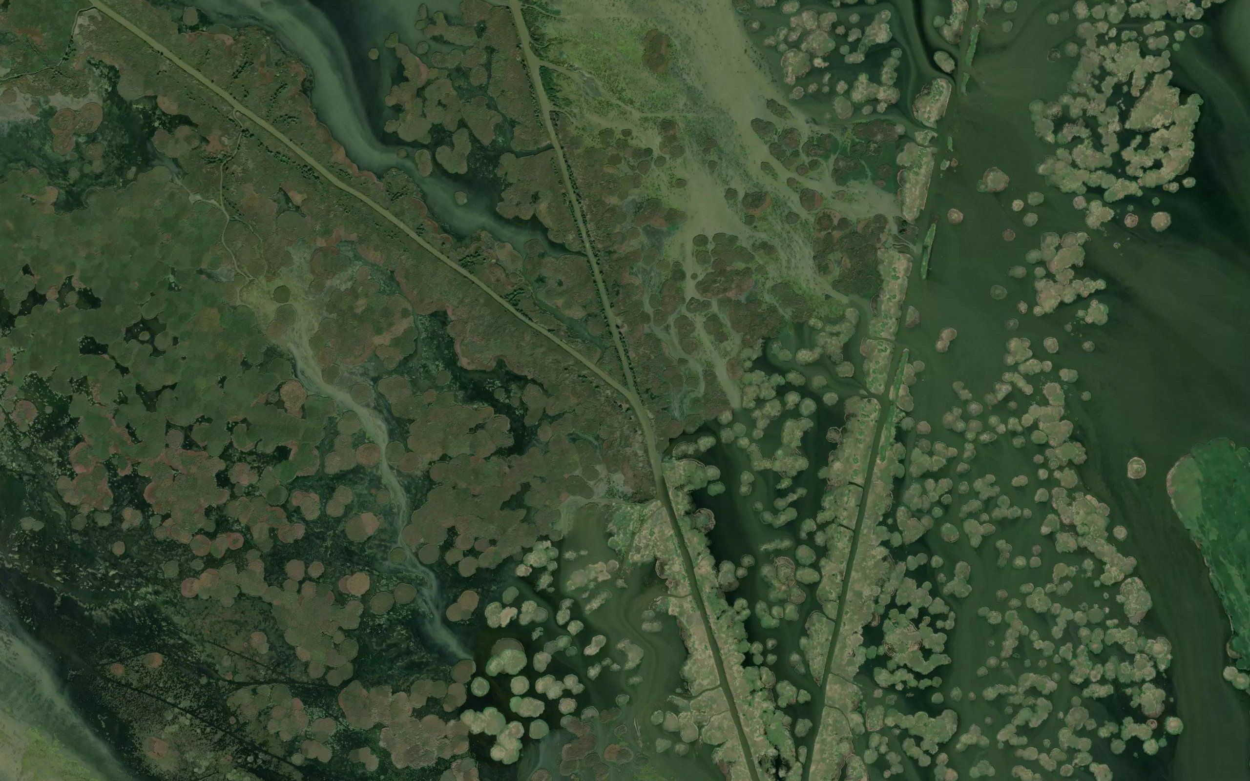 Rychanovskiy Kanal