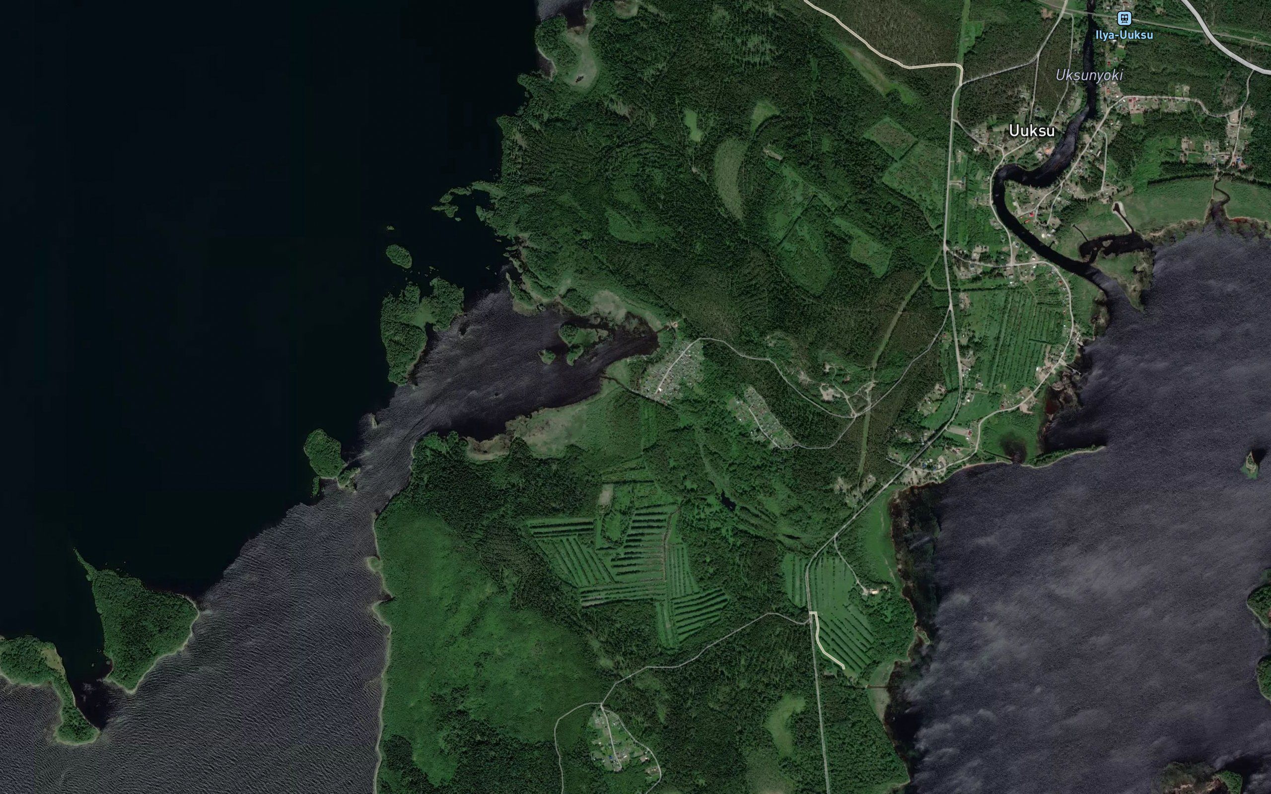 Lyusinoya