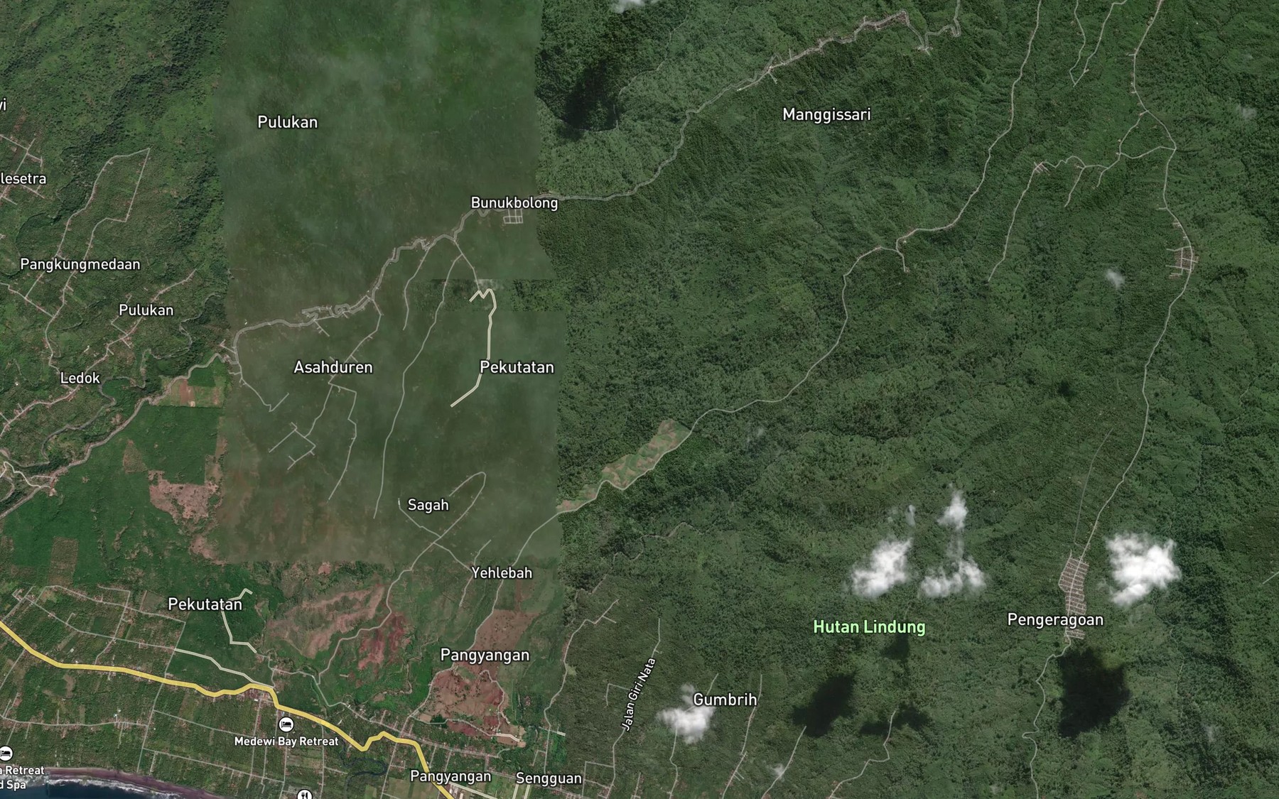 Satellite map of the Pangkung Panes