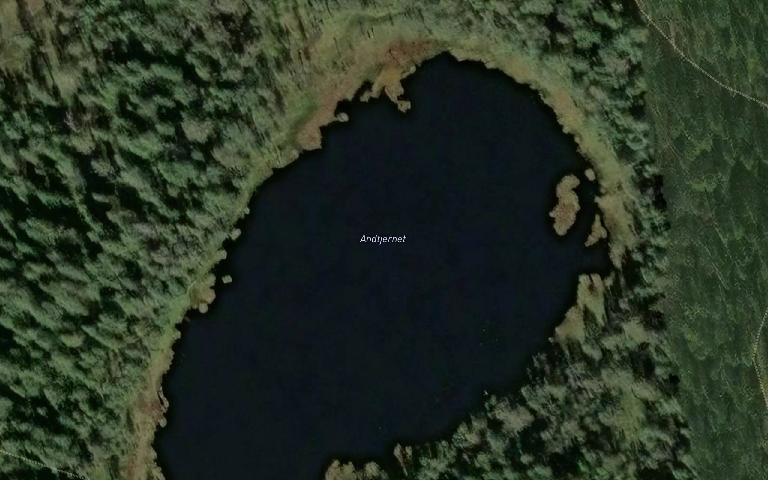 Andtjernet