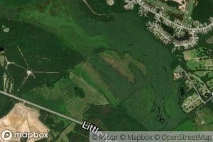 Little Ogeechee Pond