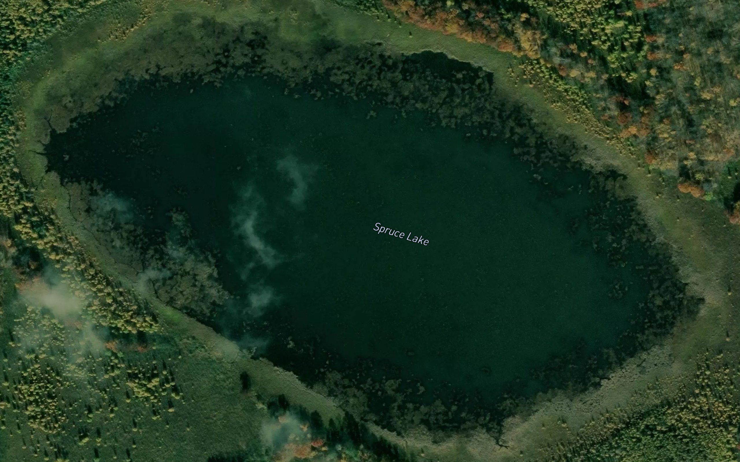 Spruce Lake
