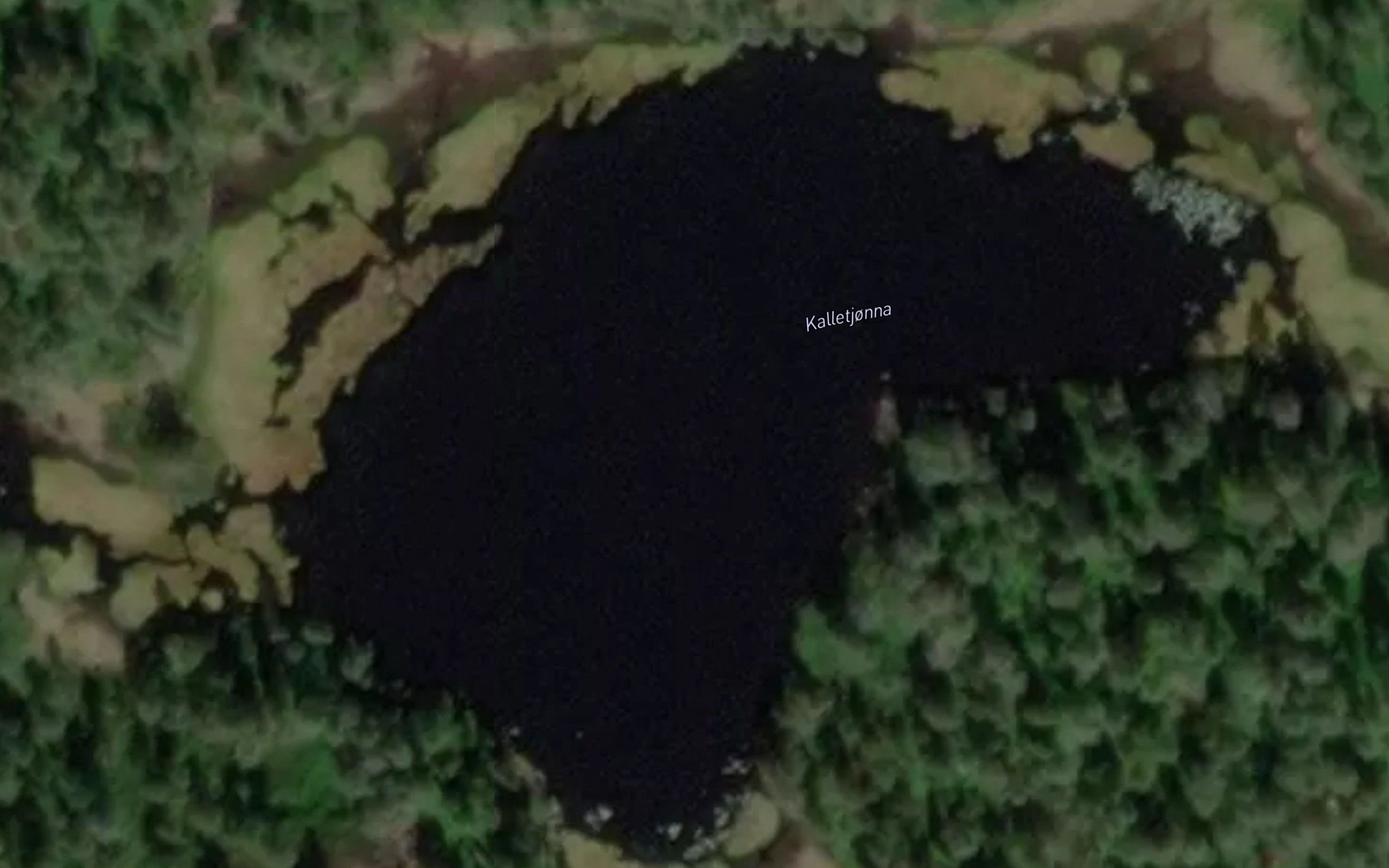 Kaldetjorna