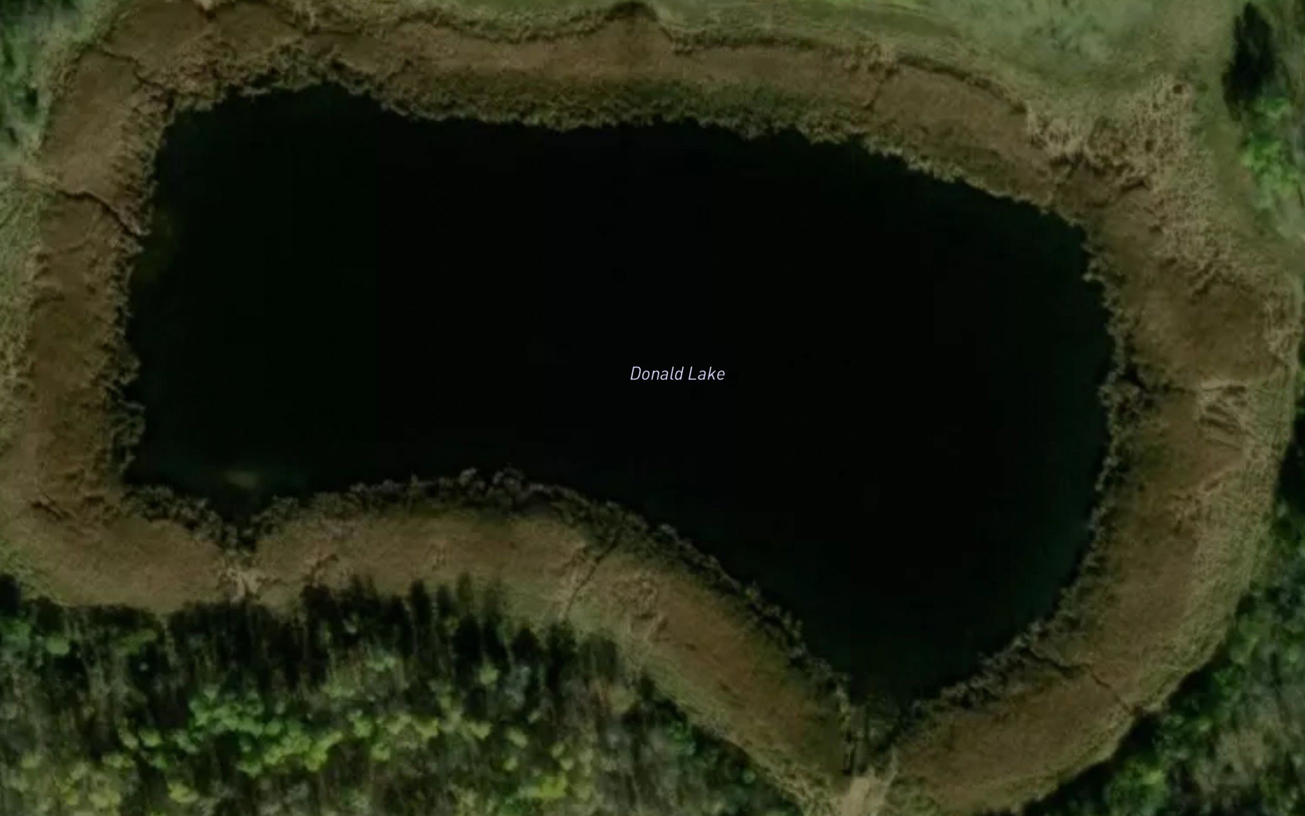 Donald Lake