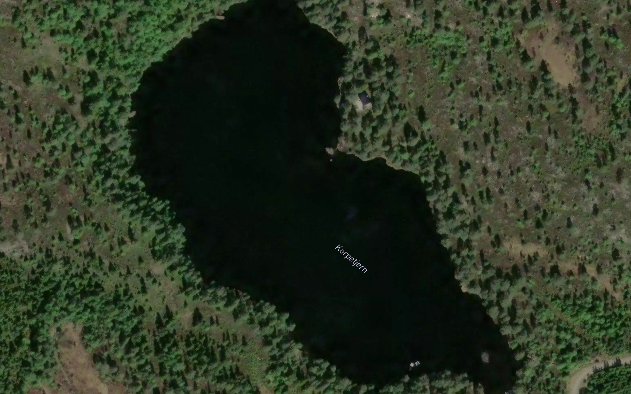 Korpetjern