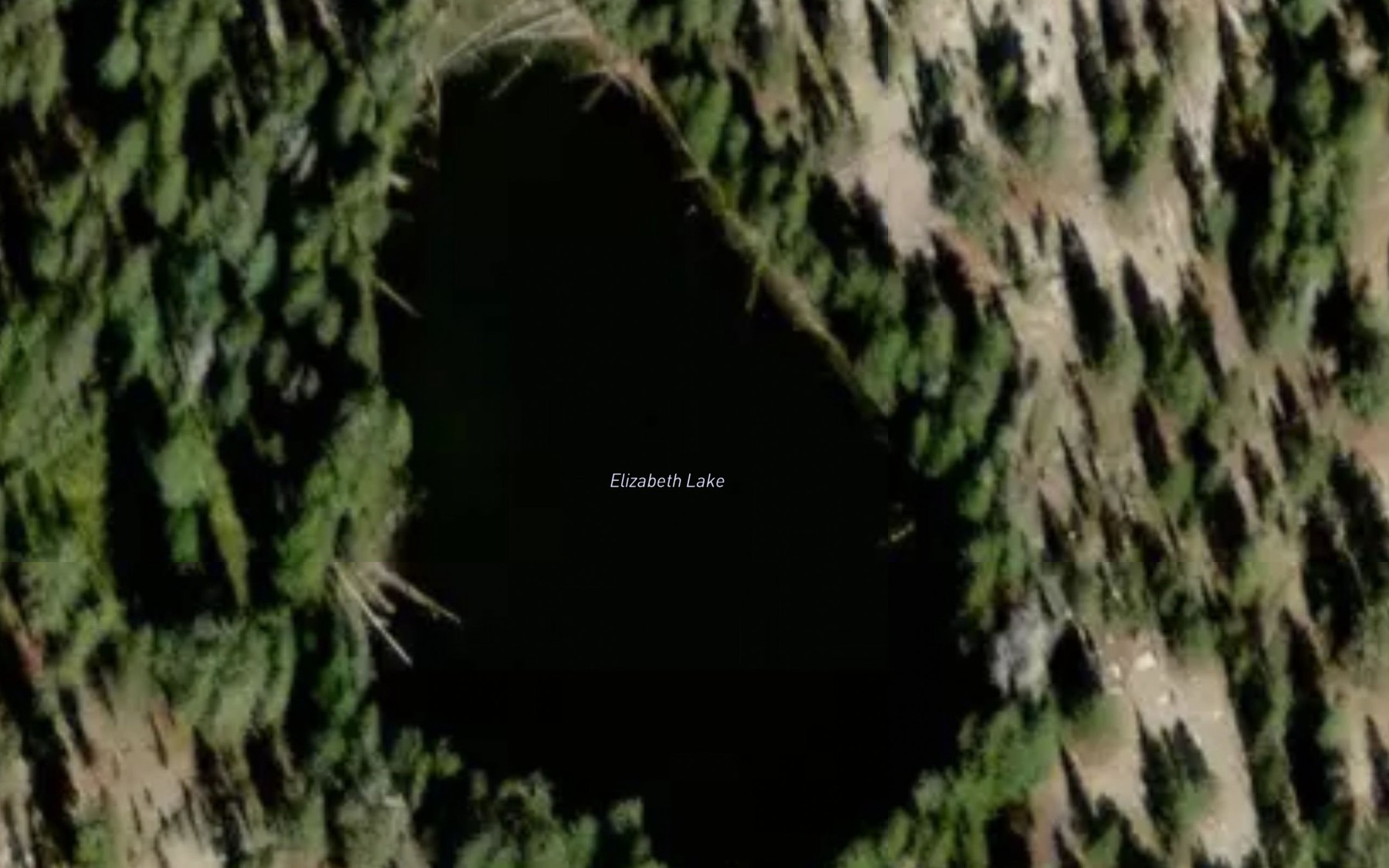 Satellite map of the Elizabeth Lake