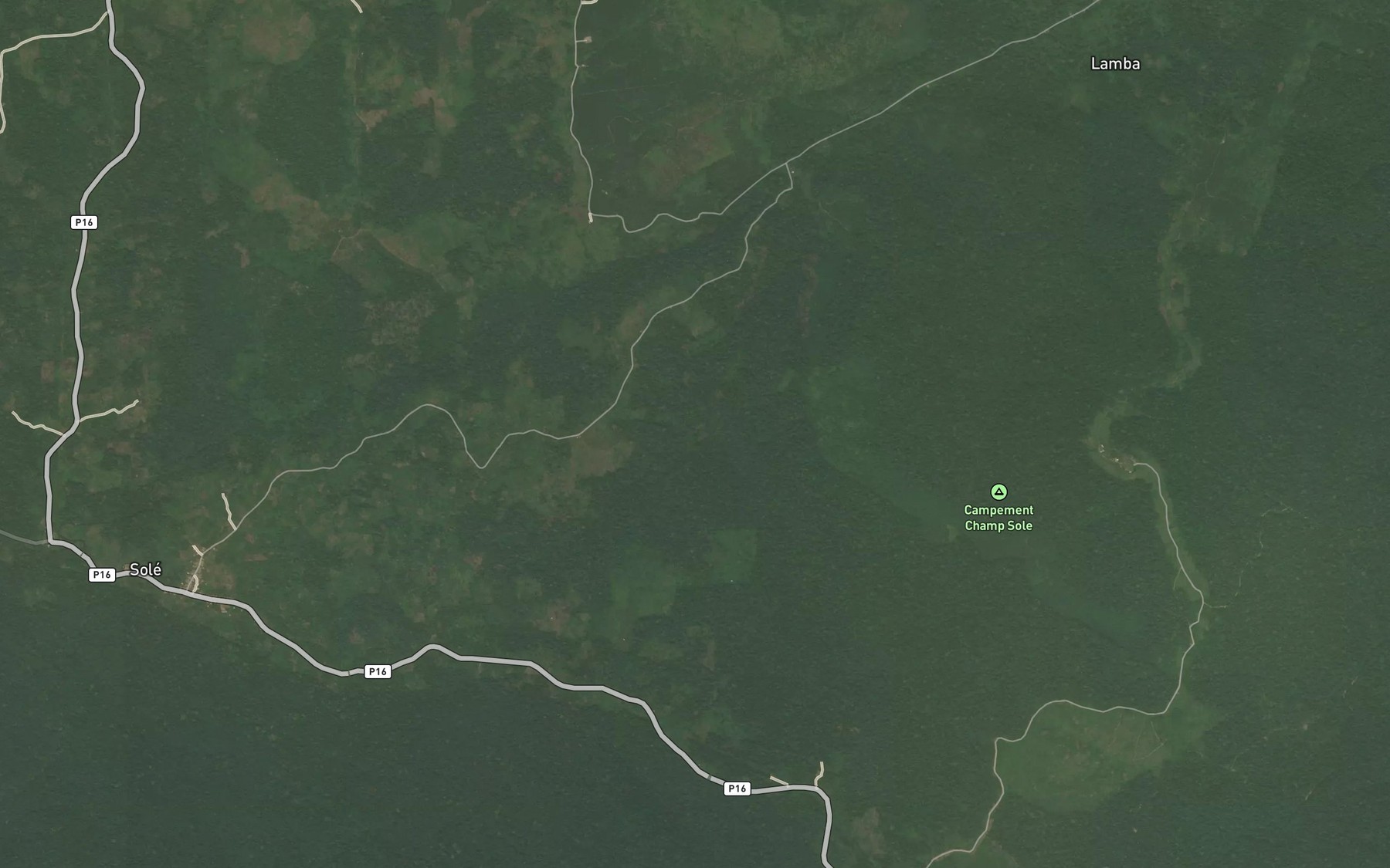 Satellite map of the Nkongo