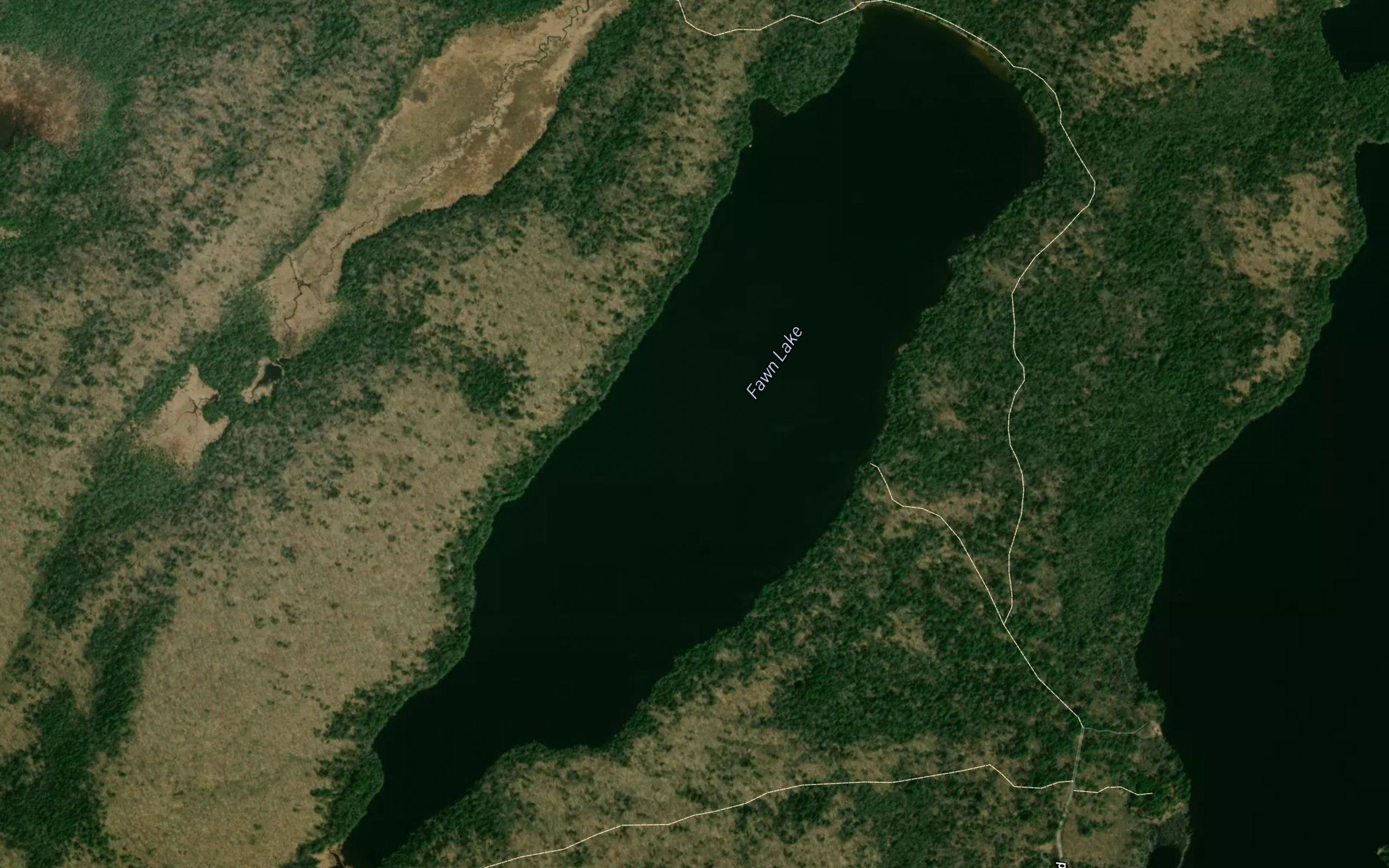 Fawn Lake