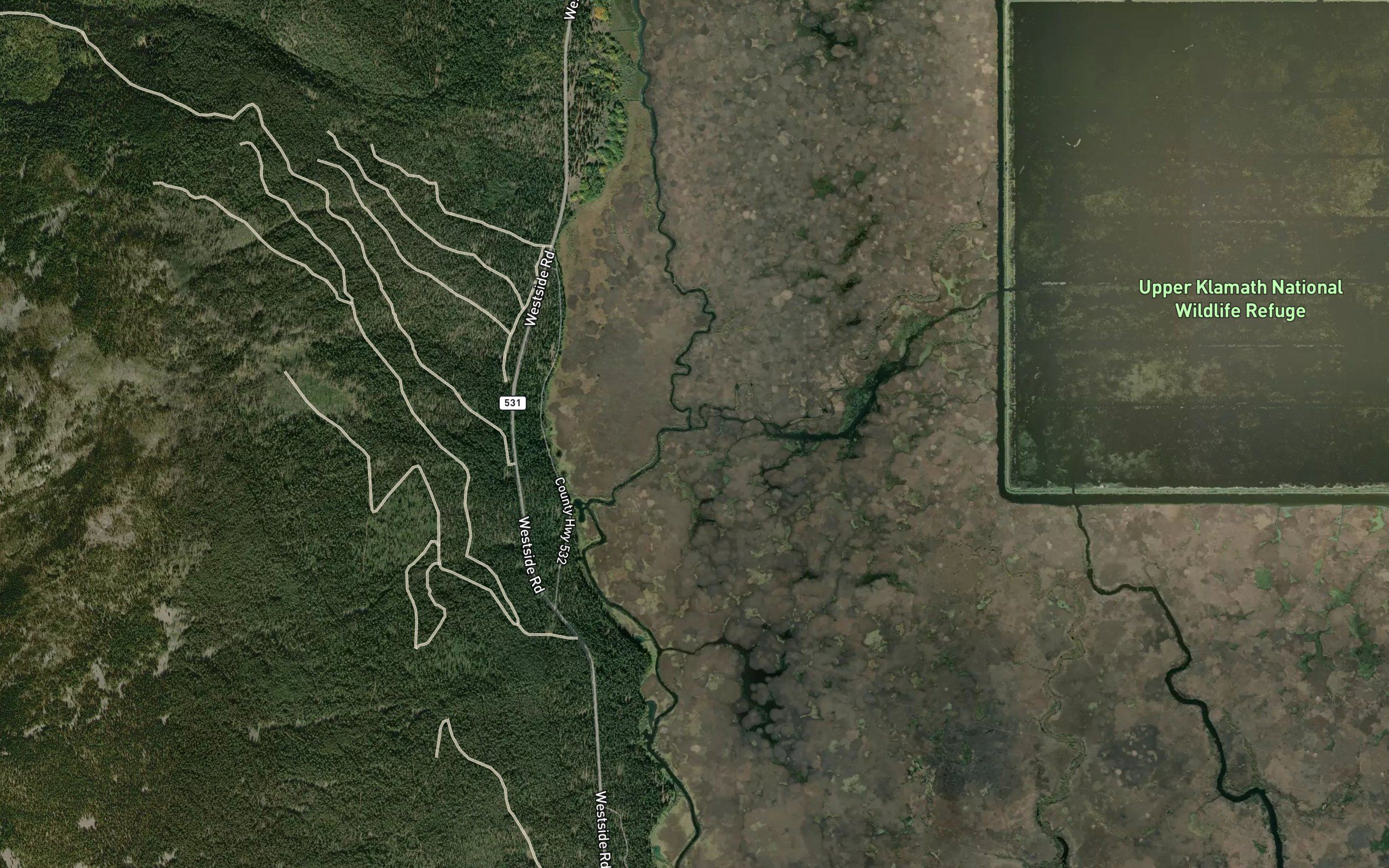 Fourmile Slough