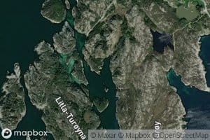 Kobbavika