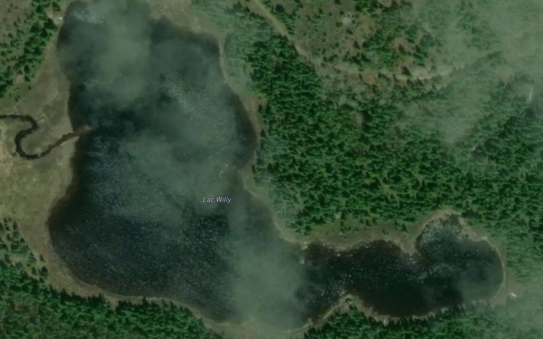 Satellite map of the Lac Willy