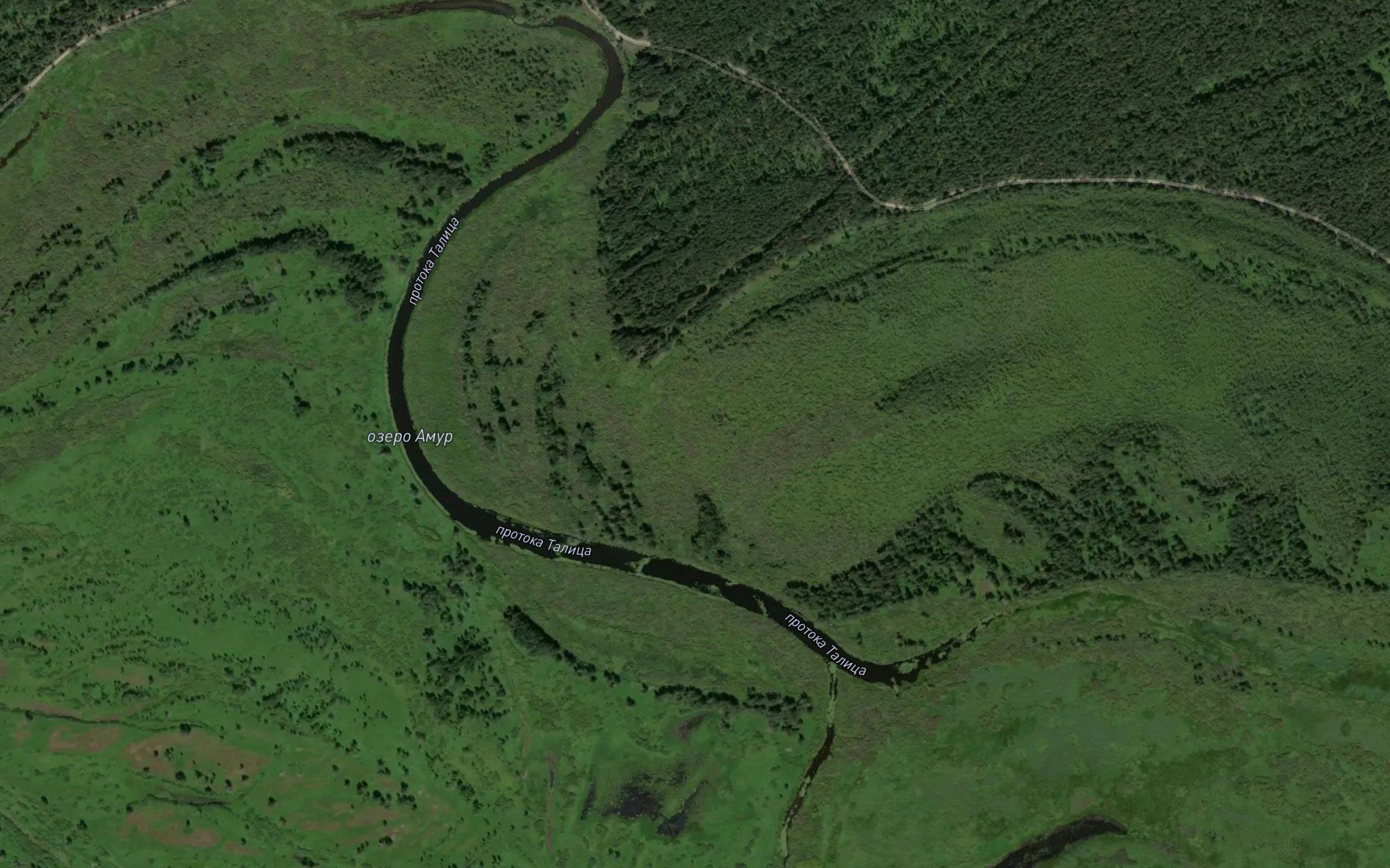 Ozero Amur