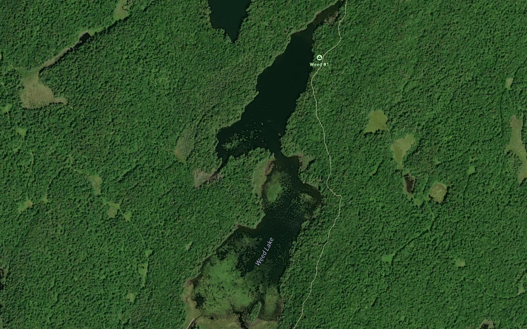 Satellite map of the Weed Lake