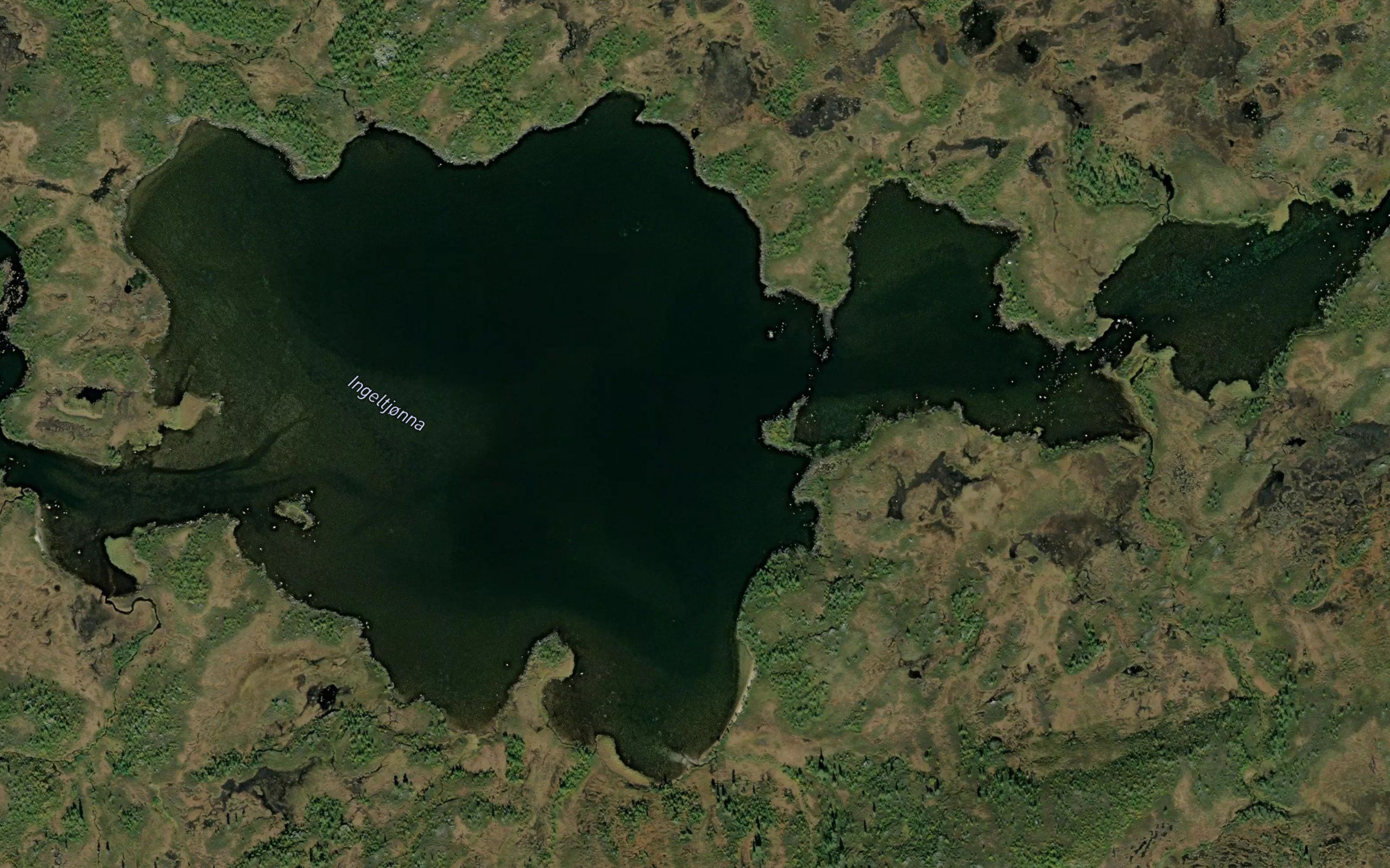 Ingeltjorna