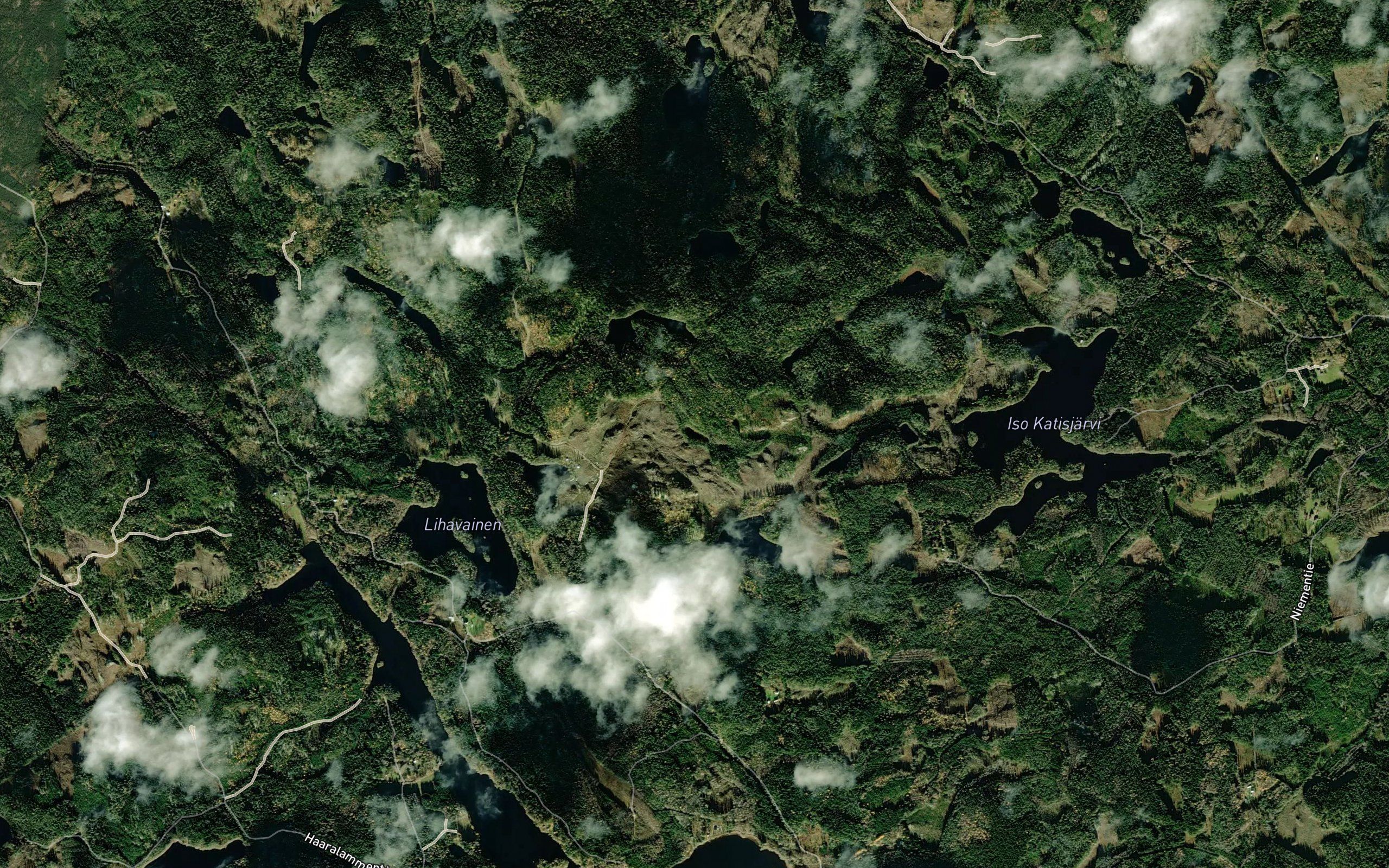 Koiralampi