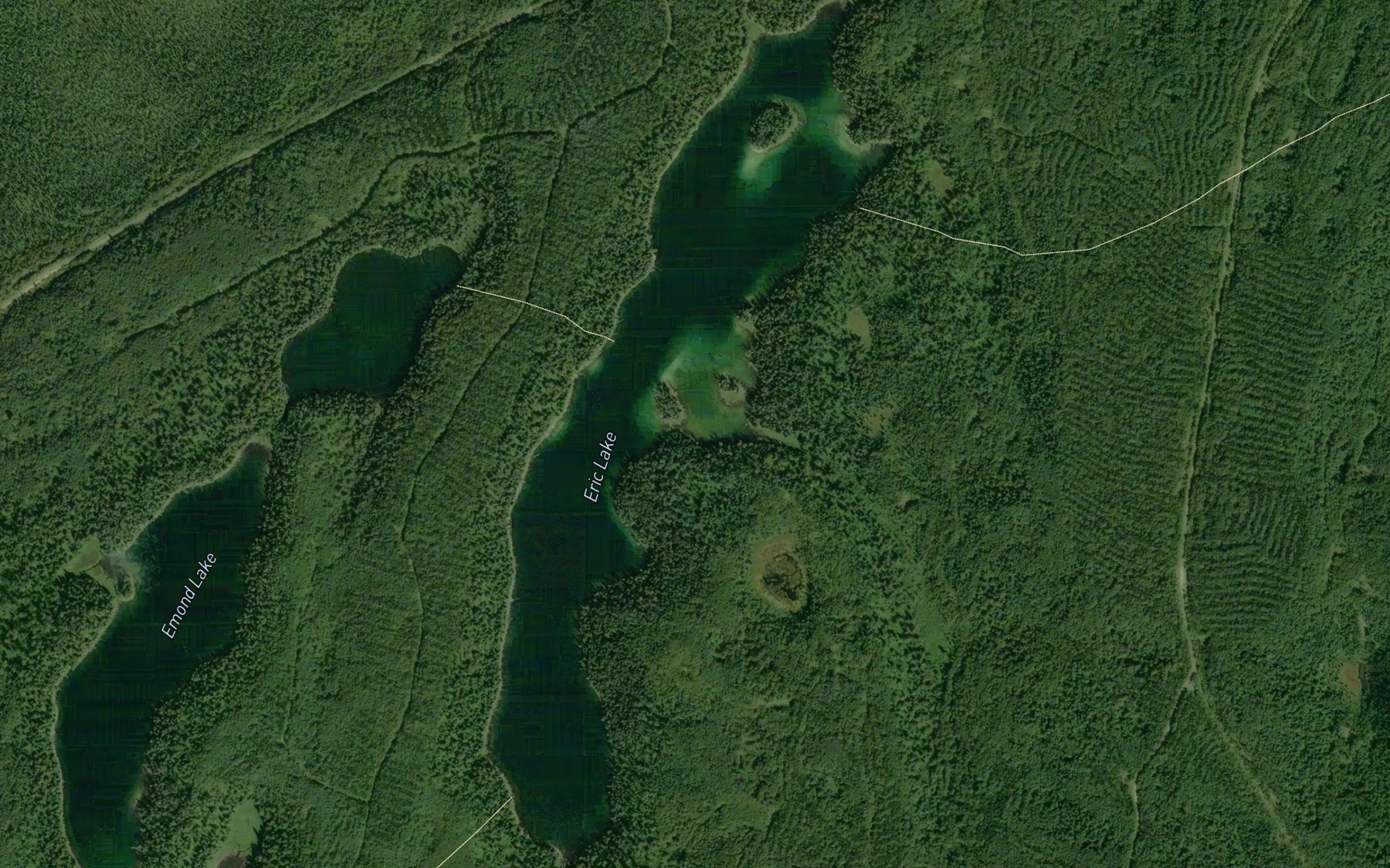 Satellite map of the Eric Lake