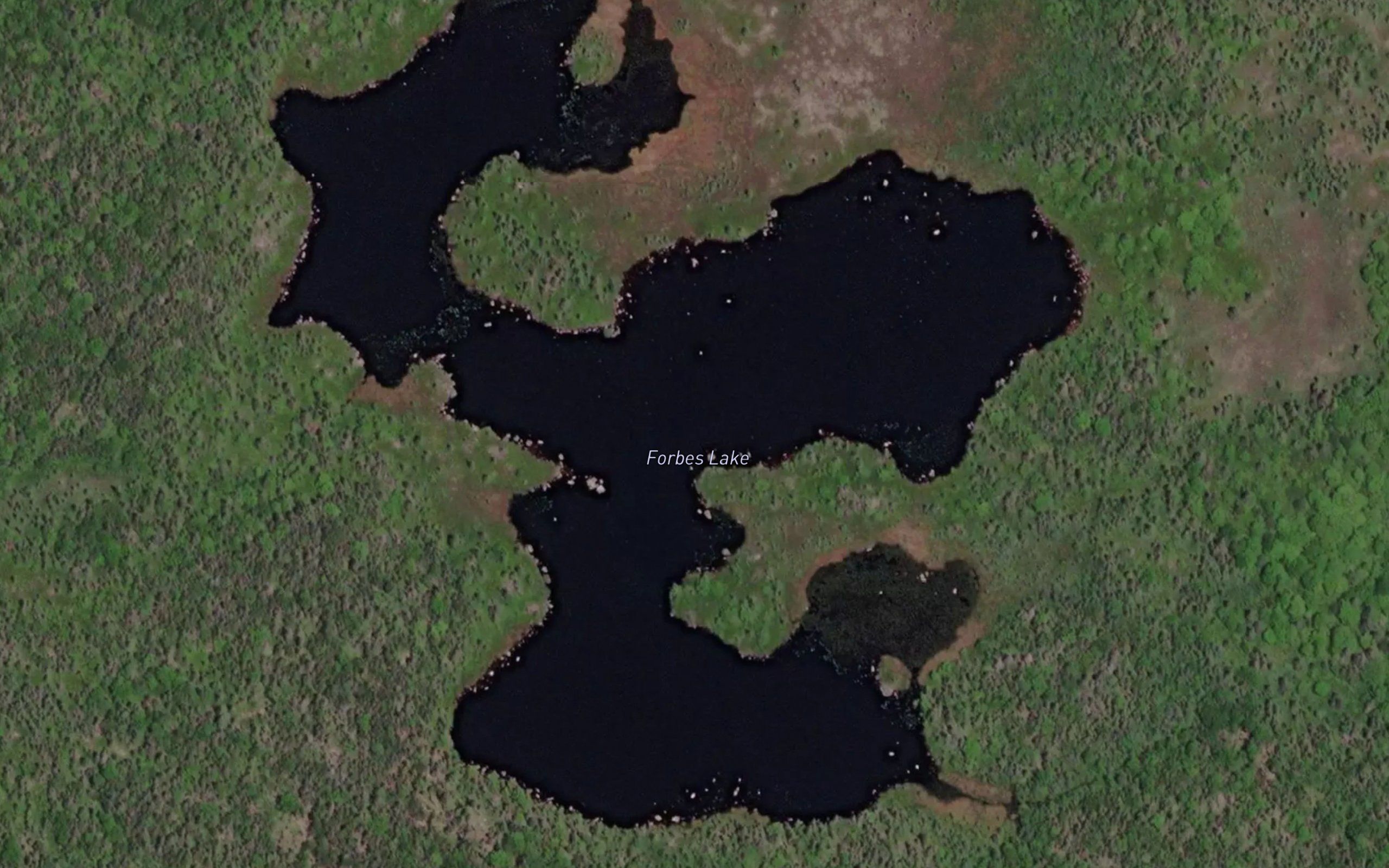 Forbes Lake