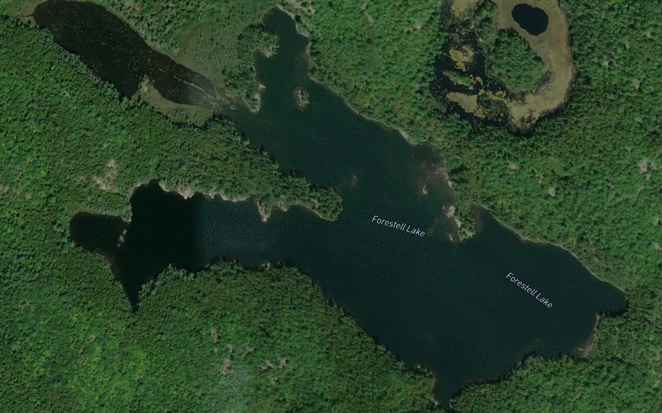 Forestell Lake