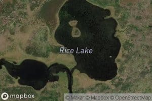 Rice Lake