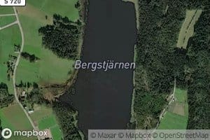 Bergstjarn