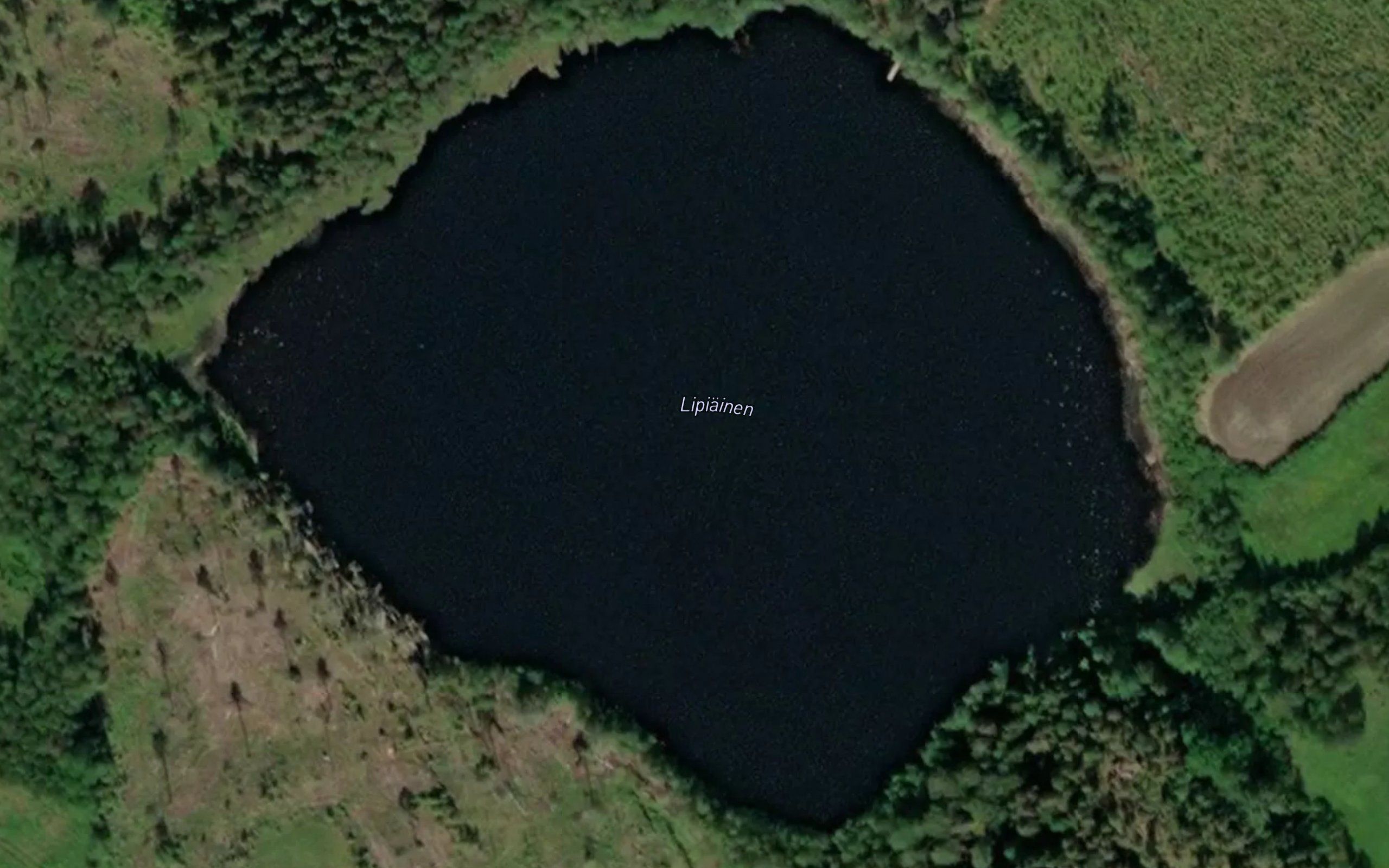 Lipiainen